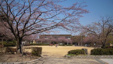 西大畑公園から見た新潟市美術館