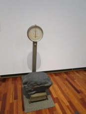 IMG_6577